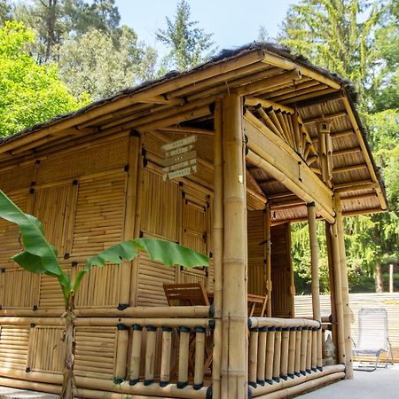 Suite Bambou Bien-Etre A Bali - Le Soleil Des Cevennes Saint-Jean-du-Gard Exterior foto