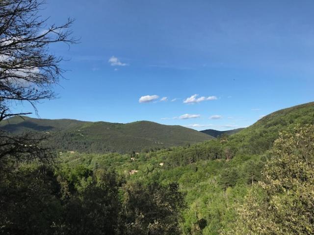 Suite Bambou Bien-Etre A Bali - Le Soleil Des Cevennes Saint-Jean-du-Gard Exterior foto