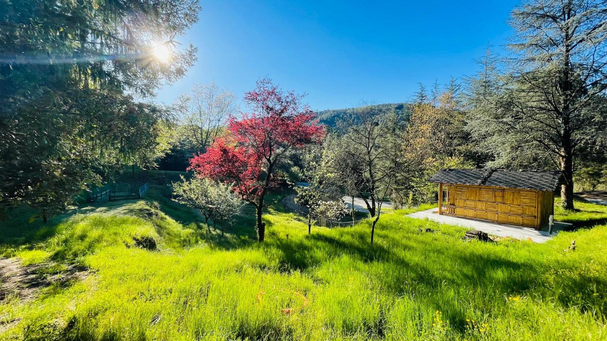 Suite Bambou Bien-Etre A Bali - Le Soleil Des Cevennes Saint-Jean-du-Gard Exterior foto